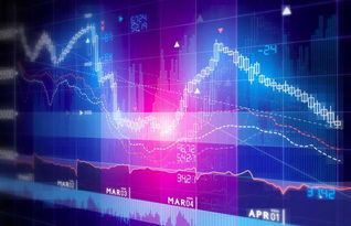 二級市場的含義及其在網(wǎng)絡技術服務中的應用