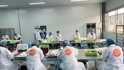 攜手阿里，智造未來(lái) 裕鑫博康借力淘工廠加速產(chǎn)業(yè)數(shù)字化升級(jí)